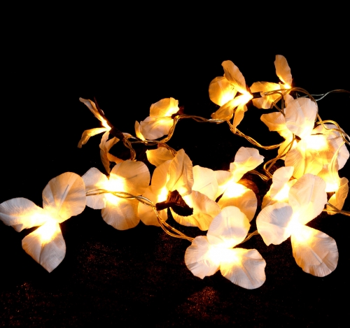 Exotic lotus flowers, flowers LED light chain Chiang Mai 20 pcs - Lotus natural white - 6x6x350 cm  6 cm