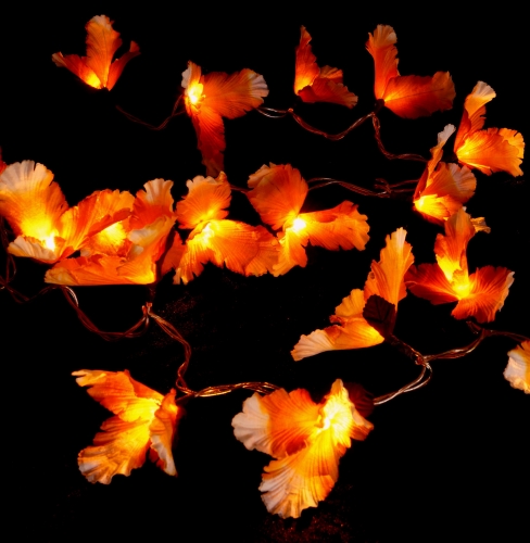 Exotic lotus flowers, flowers LED light chain Chiang Mai 20 pcs - Lotus natural white/orange - 6x6x350 cm  6 cm