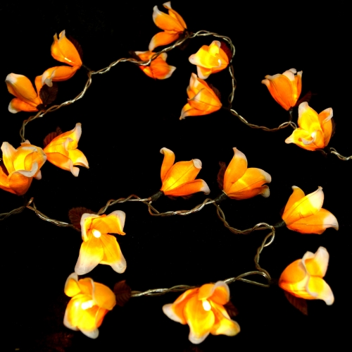 Exotic flowers LED light chain Chiang Mai 20 pcs - flower orange/white - 6x6x350 cm  6 cm