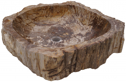 Massives Fossiles Holz Aufsatz-Waschbecken, Waschschale, Naturstein Handwaschbecken - Modell 11 - 16x63x55 cm 