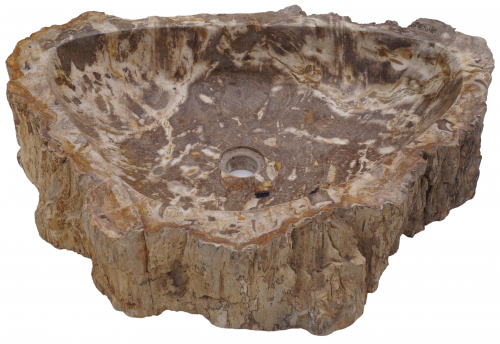 Massives Fossiles Holz Aufsatz-Waschbecken, Waschschale, Naturstein Handwaschbecken - Modell 17 - 15x67x47 cm 