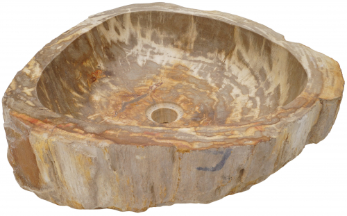 Massives Fossiles Holz Aufsatz-Waschbecken, Waschschale, Naturstein Handwaschbecken - Modell 28 - 14x49x47 cm 