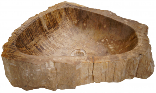 Massives Fossiles Holz Aufsatz-Waschbecken, Waschschale, Naturstein Handwaschbecken - Modell 12 - 15x56x44 cm 