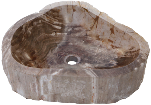 Massives Fossiles Holz Aufsatz-Waschbecken, Waschschale, Naturstein Handwaschbecken - Modell 13 - 15x50x41 cm 