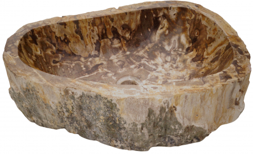 Massives Fossiles Holz Aufsatz-Waschbecken, Waschschale, Naturstein Handwaschbecken - Modell 18 - 15x53x37 cm 