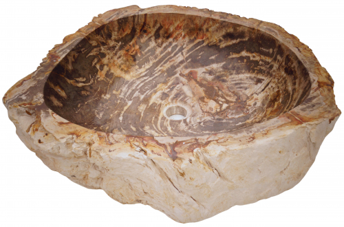 Massives Fossiles Holz Aufsatz-Waschbecken, Waschschale, Naturstein Handwaschbecken - Modell 19 - 15x61x53 cm 