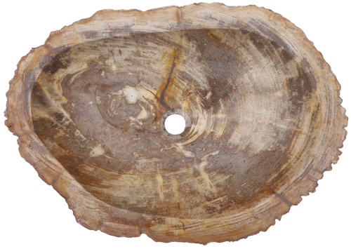 Solid fossil wood countertop washbasin, wash bowl, natural stone washbasin - Model 20 - 16x60x43 cm 