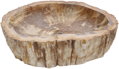 Solid fossil wood countertop washbasin, wash bowl, natural stone washbasin - Model 20 - 16x60x43 cm 