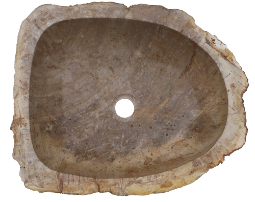 Massives Fossiles Holz Aufsatz-Waschbecken, Waschschale, Naturstein Handwaschbecken - Modell 23 - 15,5x50x46 cm 