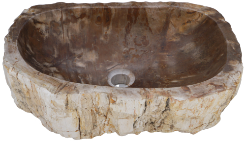 Massives Fossiles Holz Aufsatz-Waschbecken, Waschschale, Naturstein Handwaschbecken - Modell 30 - 15x52x36 cm 