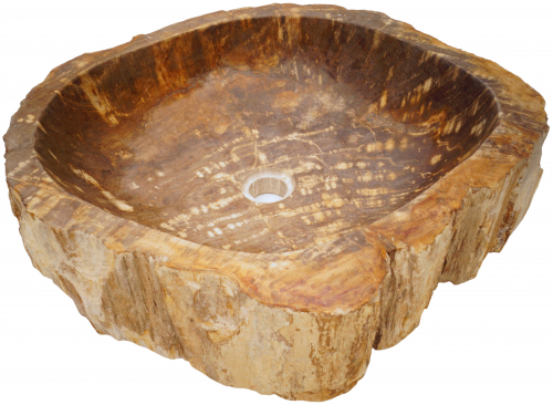 Massives Fossiles Holz Aufsatz-Waschbecken, Waschschale, Naturstein Handwaschbecken - Modell 34 - 15x62x56 cm 