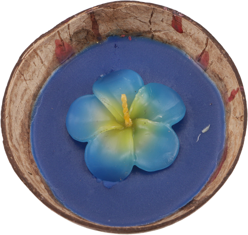 Exotische Duftkerze Kokosnuss 12 cm mit Bltenkerze - Sandelholz blau