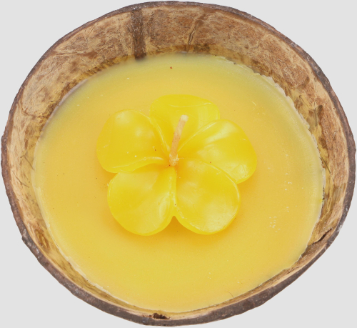 Exotische Duftkerze Kokosnuss 12 cm mit Bltenkerze -  Lemongras gelb