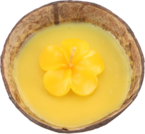 Exotische Duftkerze Kokosnuss 12 cm mit Bltenkerze -  Jasmin gelb