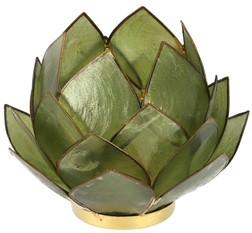 Lotus Teelicht Muschel 14*10 cm - olivgrn