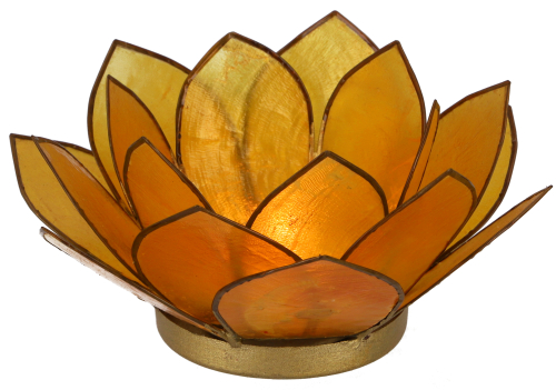 Lotus tealight shell 14*6 cm - golden yellow