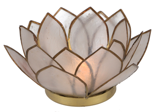 Lotus Teelicht Muschel 14*6 cm - wei