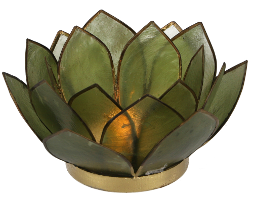 Lotus Teelicht Muschel 14*6 cm - olivgrn