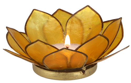 Lotus Teelicht Muschel 11*4 cm - goldgelb