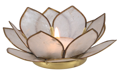 Lotus Teelicht Muschel 11*4 cm - wei