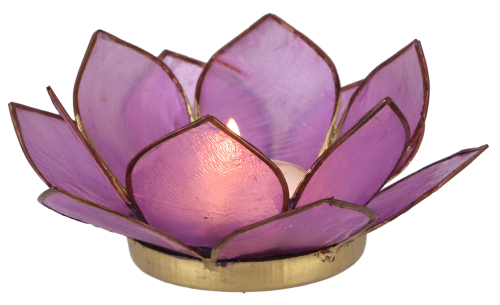 Lotus Teelicht Muschel 11*4 cm - dunkel-lila