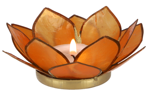 Lotus Teelicht Muschel 11*4 cm - orange