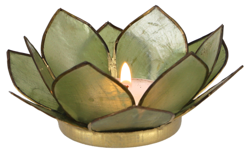 Lotus Teelicht Muschel 11*4 cm - olivgrn