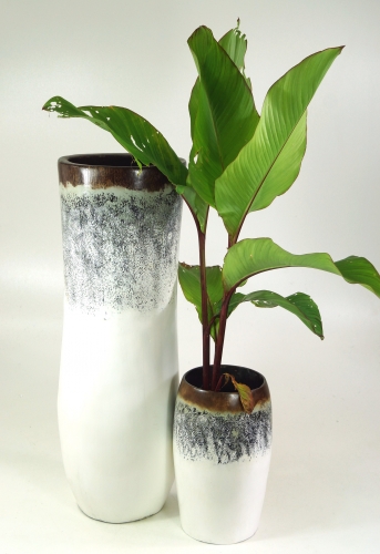 Vase, bertopf, Pflanzgef aus Palmholz