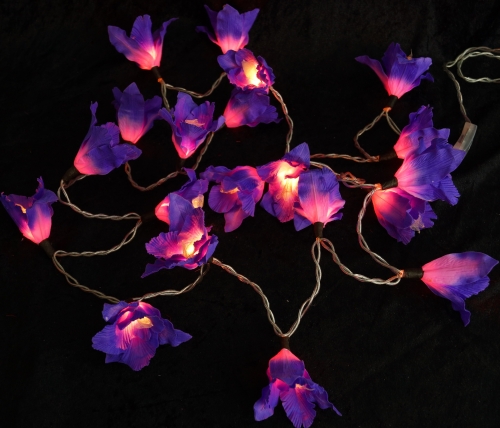 Lotus blossom LED fairy lights 20 pieces - Blossom purple - 6x6x350 cm  6 cm