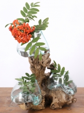 Exotische Wurzelholz Vase mit drei Gläsern - 3 *Ø Glas bis 10 cm