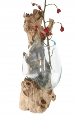 Wandvase, Wurzelholz Vase, exotische Vase für die Wand - Glas 20*..