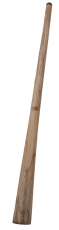 Klassisches Didgeridoo (Holz) - Modell 7