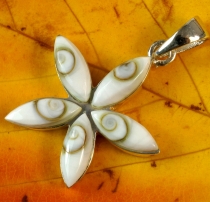 Boho silver pendant with Shiva shell - star