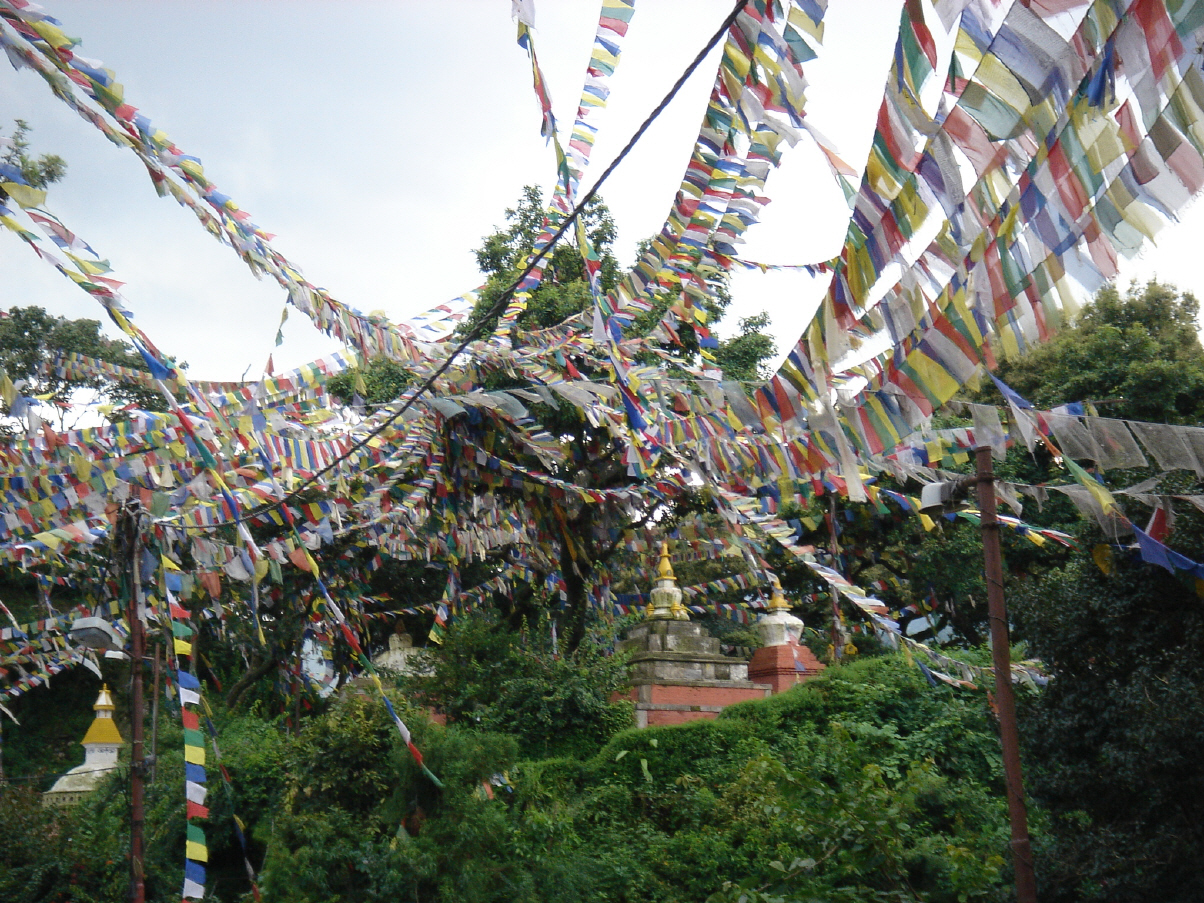 25 Blatt Gebetsfahnen 850 cm Handarbeit aus Nepal 