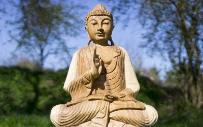 Mudra: die Handgeste des Buddha